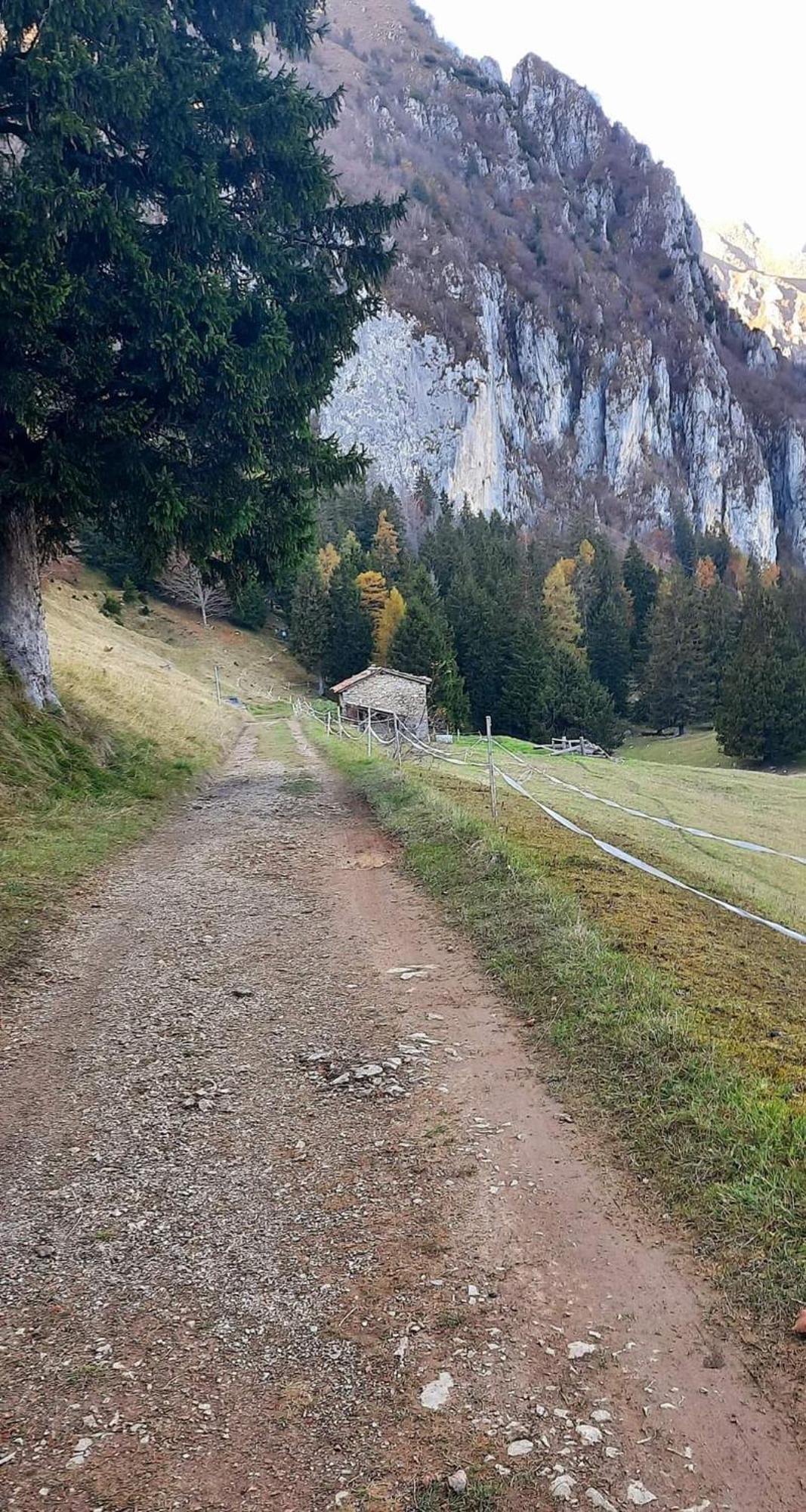 Appartamento Presolana House Castione della Presolana Esterno foto